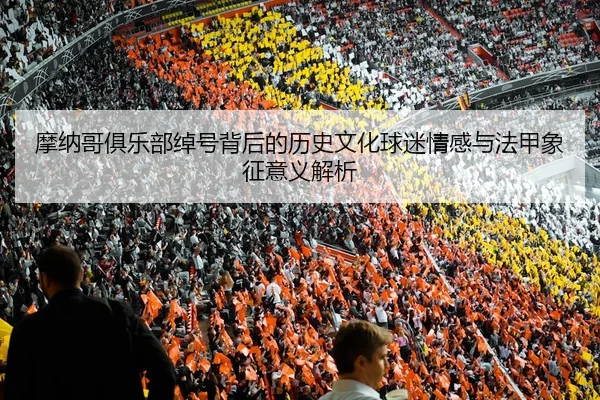 摩纳哥俱乐部绰号背后的历史文化球迷情感与法甲象征意义解析