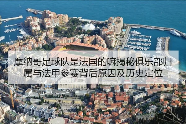 mo-na-ge-zu-qiu-dui-shi-fa-guo-de-ma-jie-mi-ju-le-bu-gui-shu-yu-fa-jia-can-sai-bei-hou-yuan-yin-ji-li-shi-ding-wei-2-828.jpg